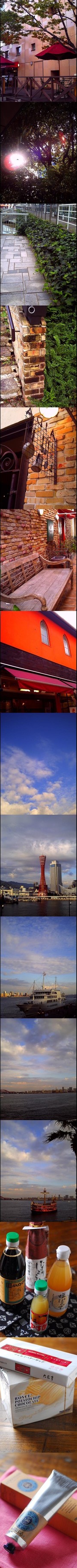 10e50b4df76c3f54b97db4170d6e8459