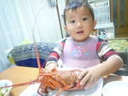 945c8f2e505e93d7bb8b2a0e78b01f2b