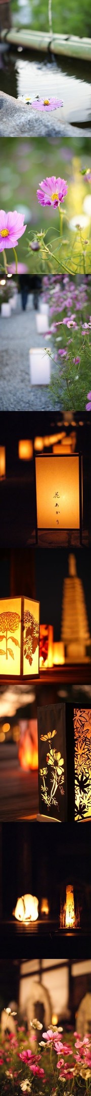 79279d8ebdbd977a44b3325317f6ad97