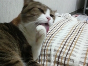 594d5d8aebf5a6748cea913e8f8908db