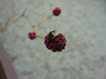 E7662ccf0918a49abfa7ab69557b4aa7