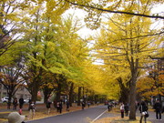 E8fcfb34d9c4cb0458171373f7d184d5
