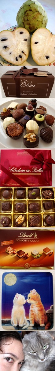 08bb536bcd3e5be4a09b27e0984e4487