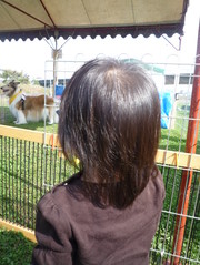 2d8934e8a34339c749ad5c0eacd1632d