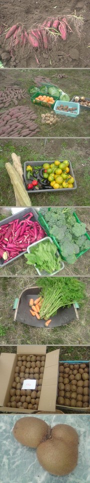 3b90b6411fcafc9109ef9875e149e060