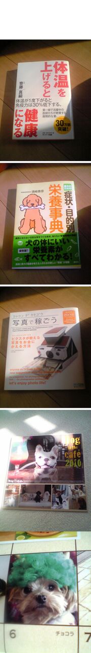 F4dcb750e7945aff3cc4234db972058d