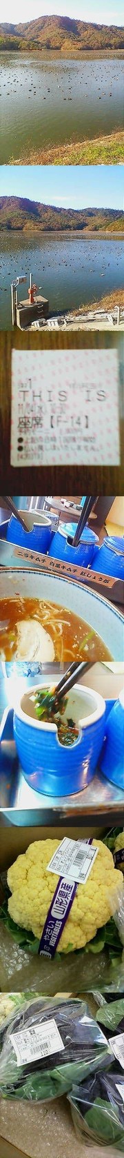 49e5b456e3b5cb2abcdb85dd15c0a0ee