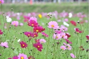 8bb7f5959efdd8edd8d7e86dc435da94