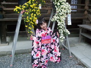 D12a0d4abe7b9523692d998fcffdfc07