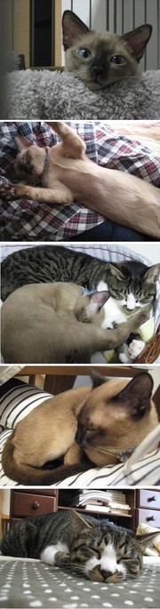 B7e3bed0ce1a9d82c1840ed404c56f45