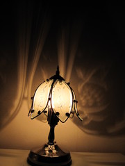 D41e7ae19bb8a76326c9f6c938f217ab