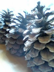 617b185a0f7c96193acbf760bb7e50ee