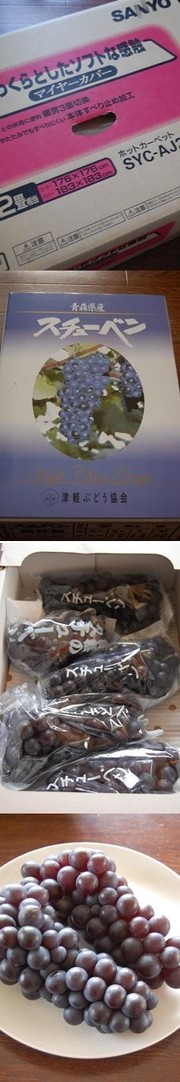 B5d81f9699654e6a95878a060ae8e0ae