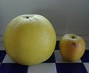87c79d310420a998891be01a7f943bec