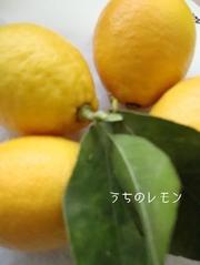 452750187deaa19f563026c614888bb1
