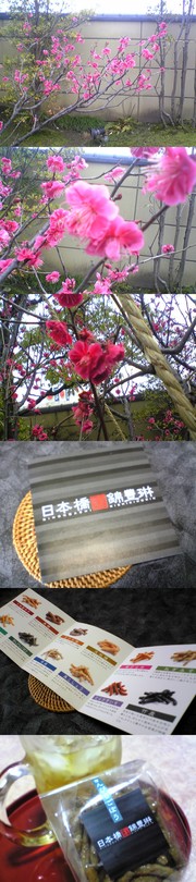 3ce18ac86d59207335c0c8a9091f5137
