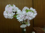 Bdd3d7f8c5448314c4dd725e954885ce