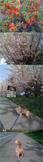 D29249a6dee6c043a2e98bf7c681898e