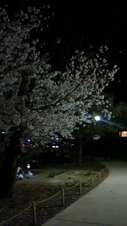 83f9ac7575d641eb82e99b06d3eceae7