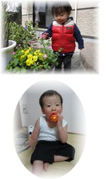 Eca9c0b70146553201e79bf8cecd058c