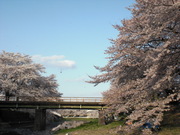 Ec4929198b5068d2152ef135503c50ef