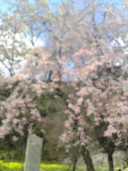 67d80184f2d97c4627a27ffdeaae1ba9