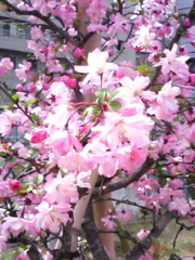 999317161c28cf9382a88a1082081f6f