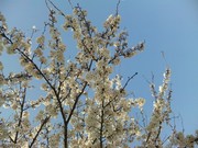 235cb0c65704e38343061b7de1b3b410