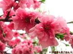 85c2d17014359972e4b3efb0d1a3c5b7
