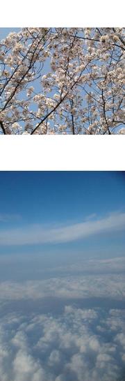 43c29ea527b378fe3cb49d4648f52f1e