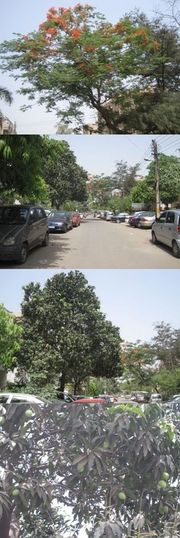 2e2d909ca88bcec60aa2d2fd97c44d2c