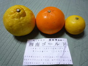 Ab0c3b4223070def81abbb2255f2f704