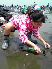 Acaf707aee4863bb9163f174d2cb34a7
