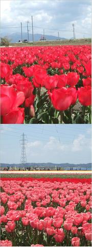 348b67676a83cb7139103a8bc44f231f