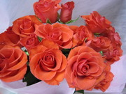 235bc320a4bb0fce3a3311576cb946bd