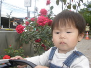 84eb6d94c8ed515a5ff881baaeb93a20
