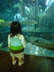 D756c097009a9a669c316850fba5b1cd