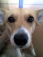 6b673513a4236729e693dd4cdfa172bd