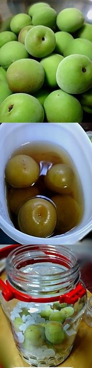 Af80804e9abed6ffb673698351663098
