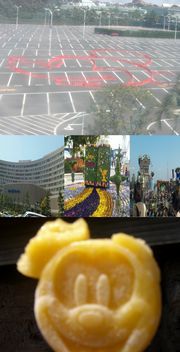 A05cbecf05259508bdea0f25a9f911ff