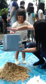 4dddb7bac872dc2557e5bf81582df600
