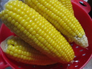 Cec8f8e858a98cb269ce15204f27d3df