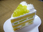 72d7d30cc5997a6e2615b40a5556f962