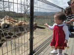Da046229d060683506ffbd571656919f