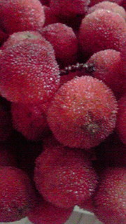 7b4bdb15da863671dfdfc02caf5c538a