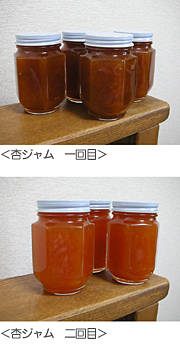 7620d1f1bea76f500508f37233a6fc5b