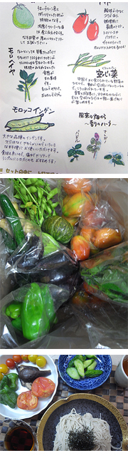 C567ad5ae87e61b65e8240d6c65a2f33