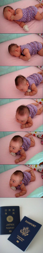 F838080babb4b331cb8bcb5d2f0b3dae