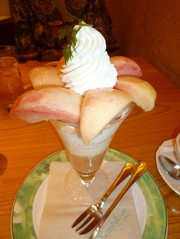 845ab65121495025f7cdb9345676db55