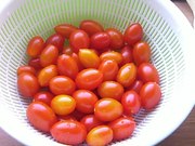 0c61e438acf1976e8cc35988d0a38f99